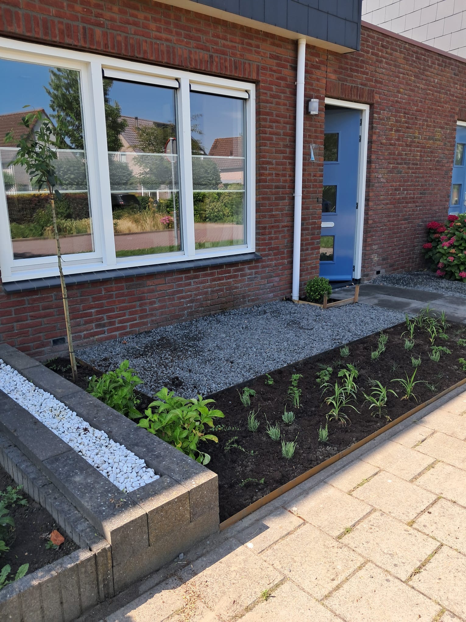 Voortuin vergroenen 1