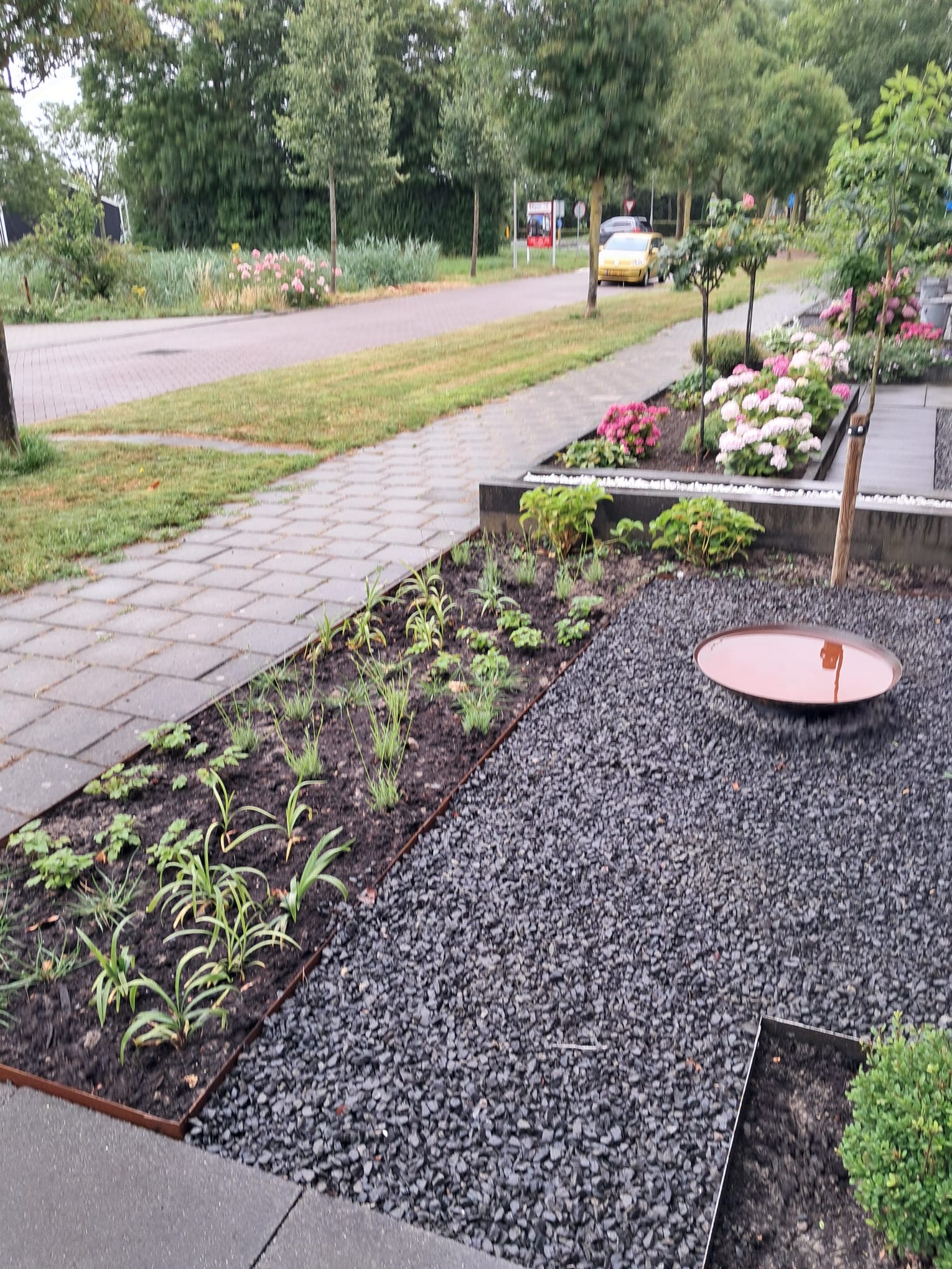 Voortuin vergroenen 5